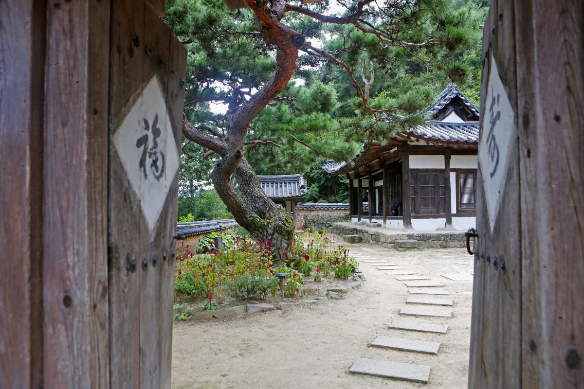 유네스코
