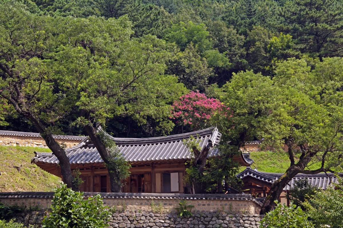 유네스코