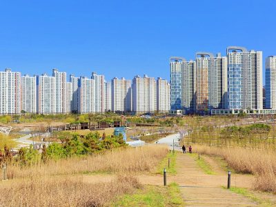 배곧생명공원