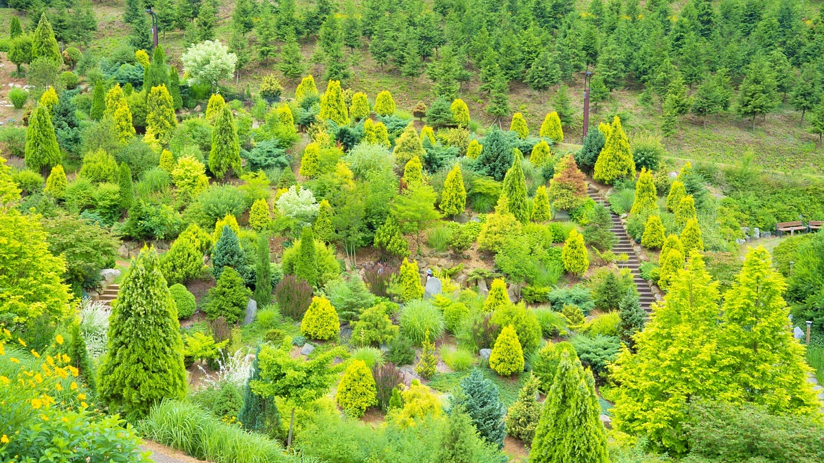 충남