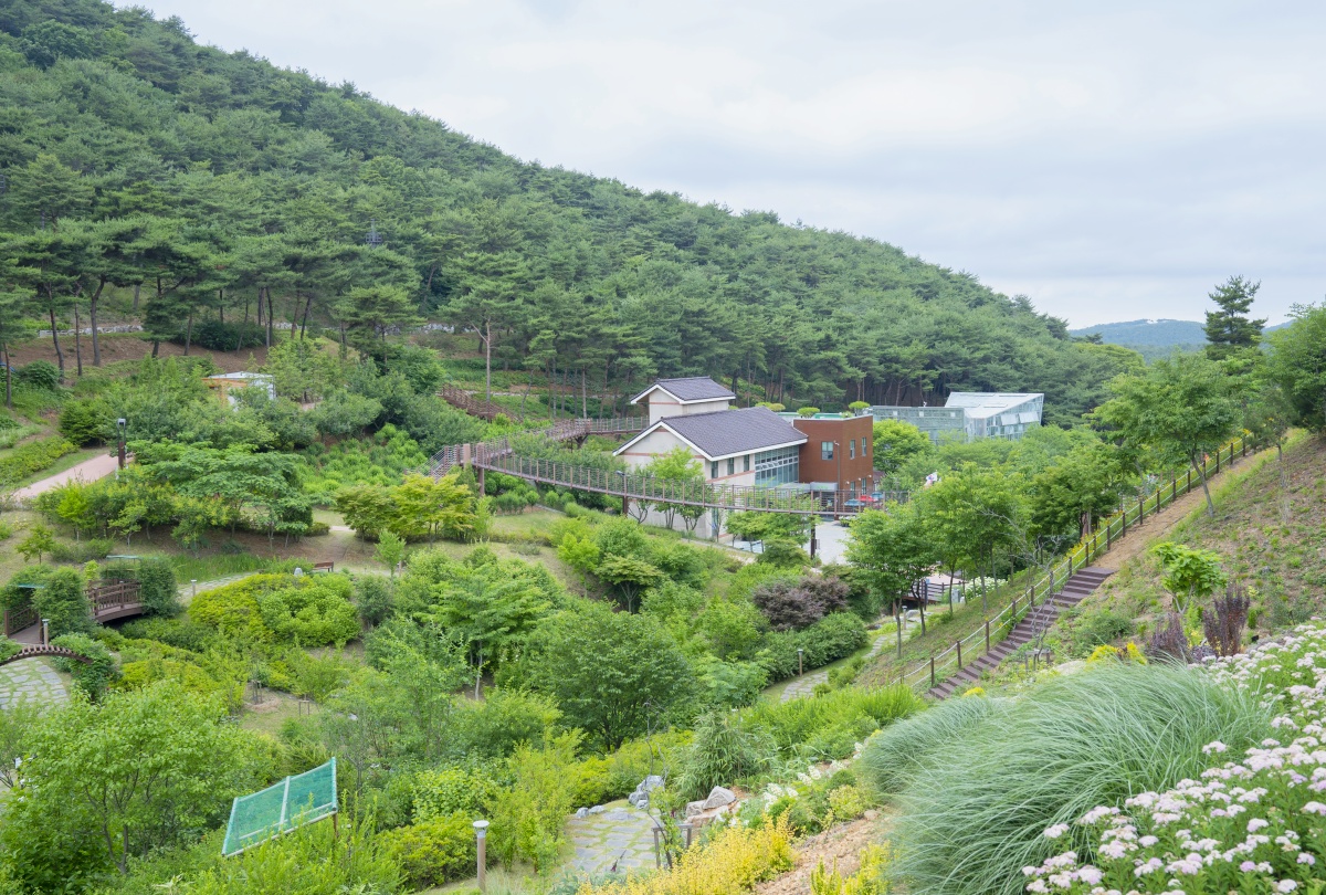 충남