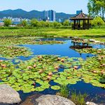 삼락생태공원