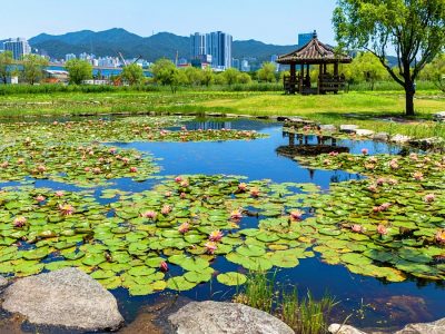 삼락생태공원