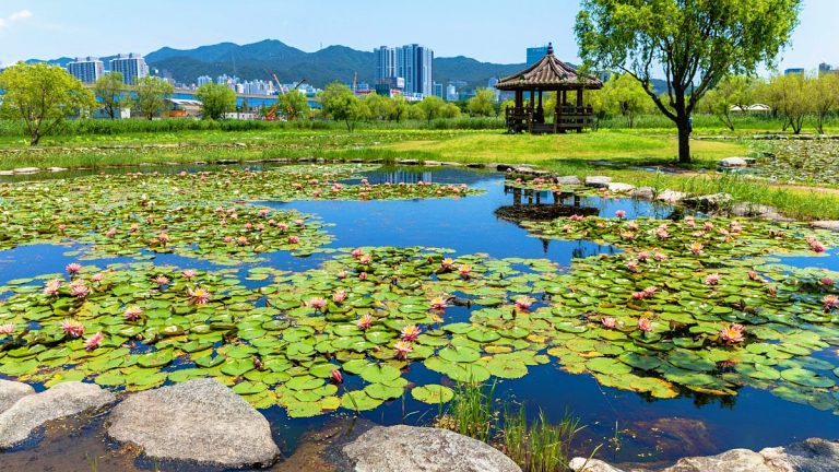 삼락생태공원