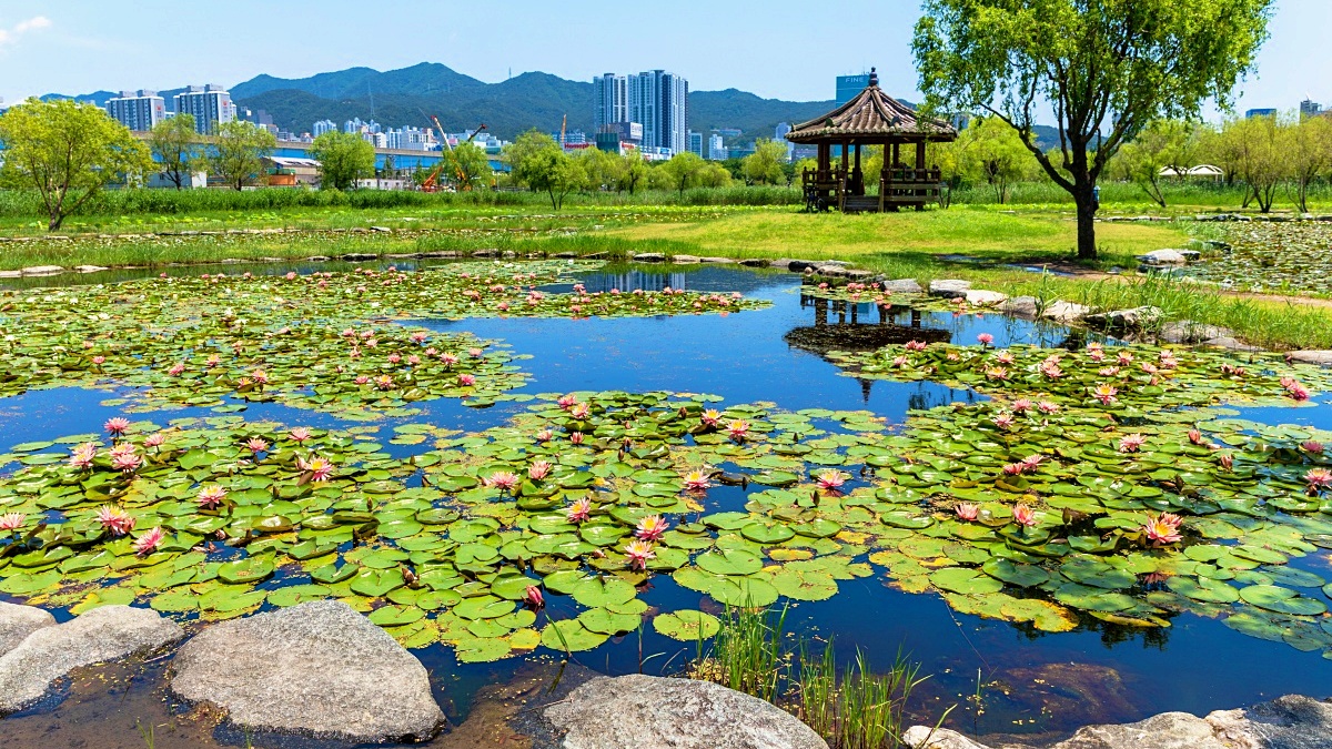 삼락생태공원