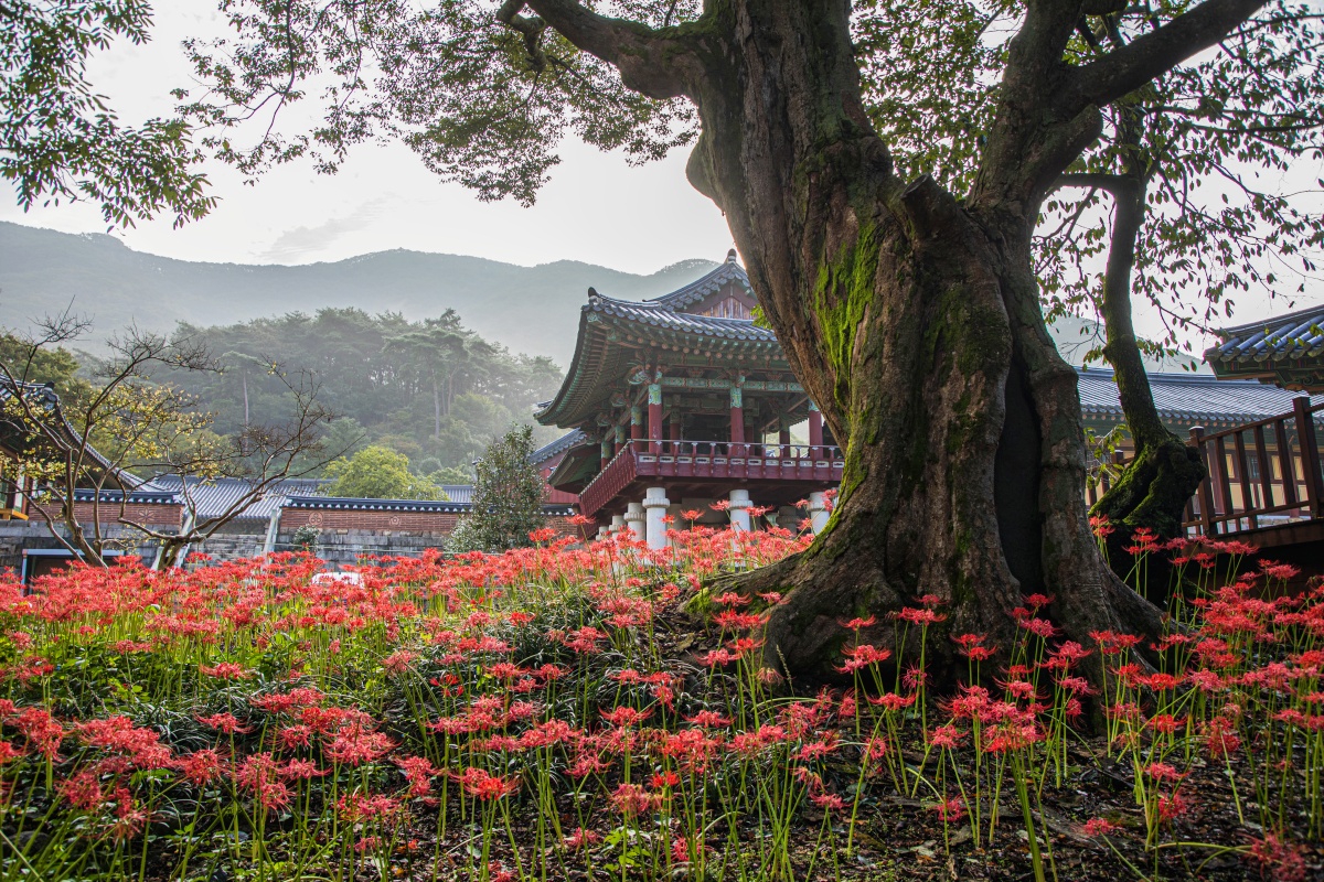 여름