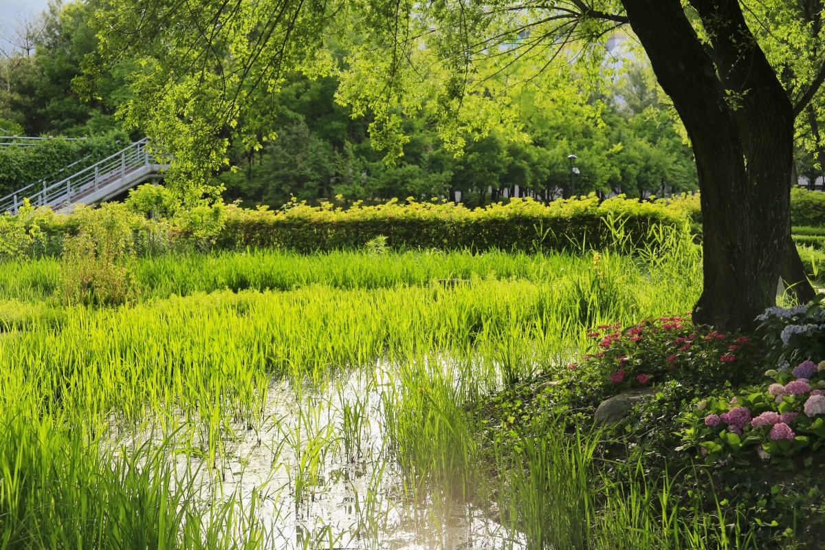 "지하철에서 2분"... 한여름에도 걷기 좋은 서울의 산책 여행지 2 서울