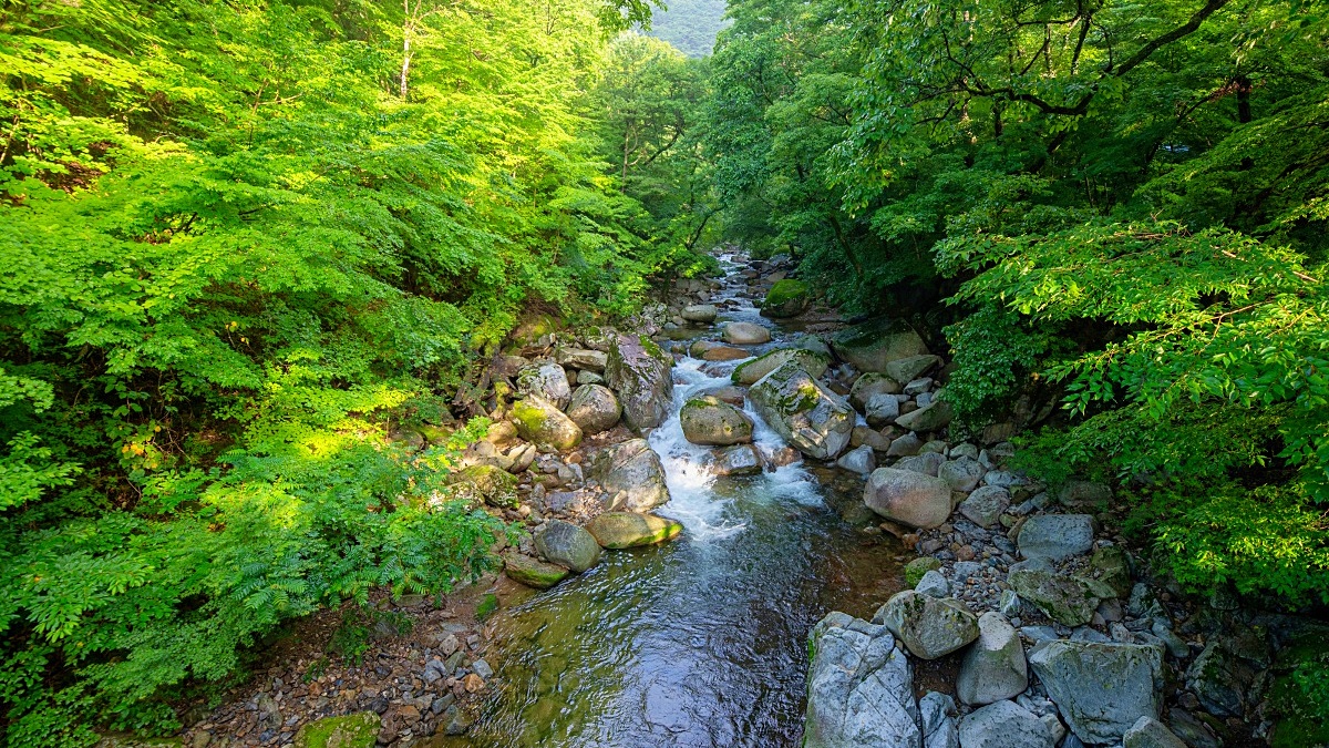가야산 홍류동계곡