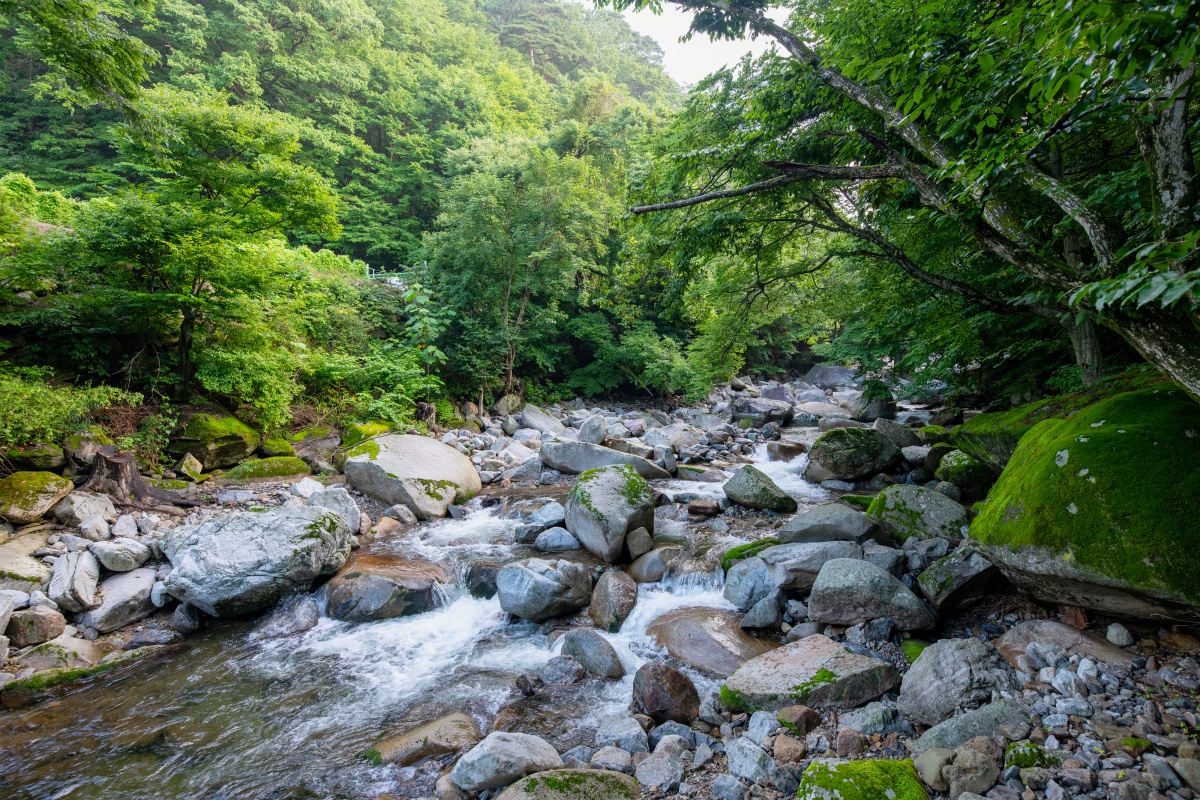 계곡
