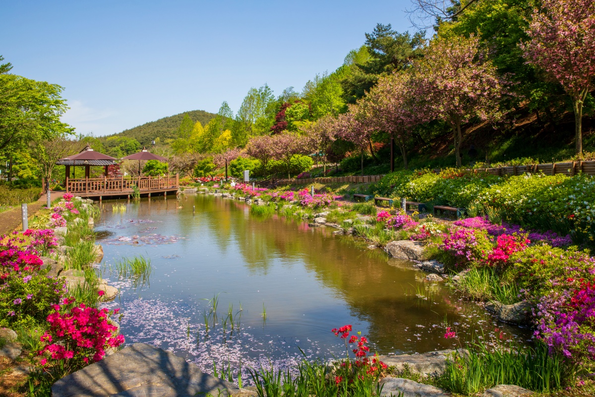 충남