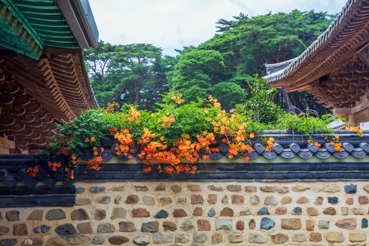 "세계가 인정한 기록유산이 국내에"… 가야산이 품은 특별한 사찰 5 가야산