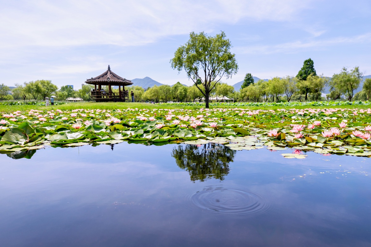 부산