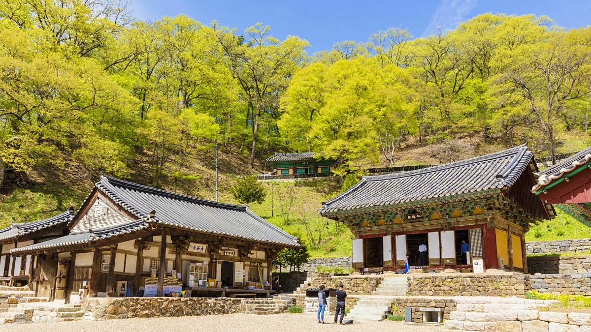 "국보와 보물이 머무는 곳"… 요즘 여행객들이 다시 찾는 이유 1 국보