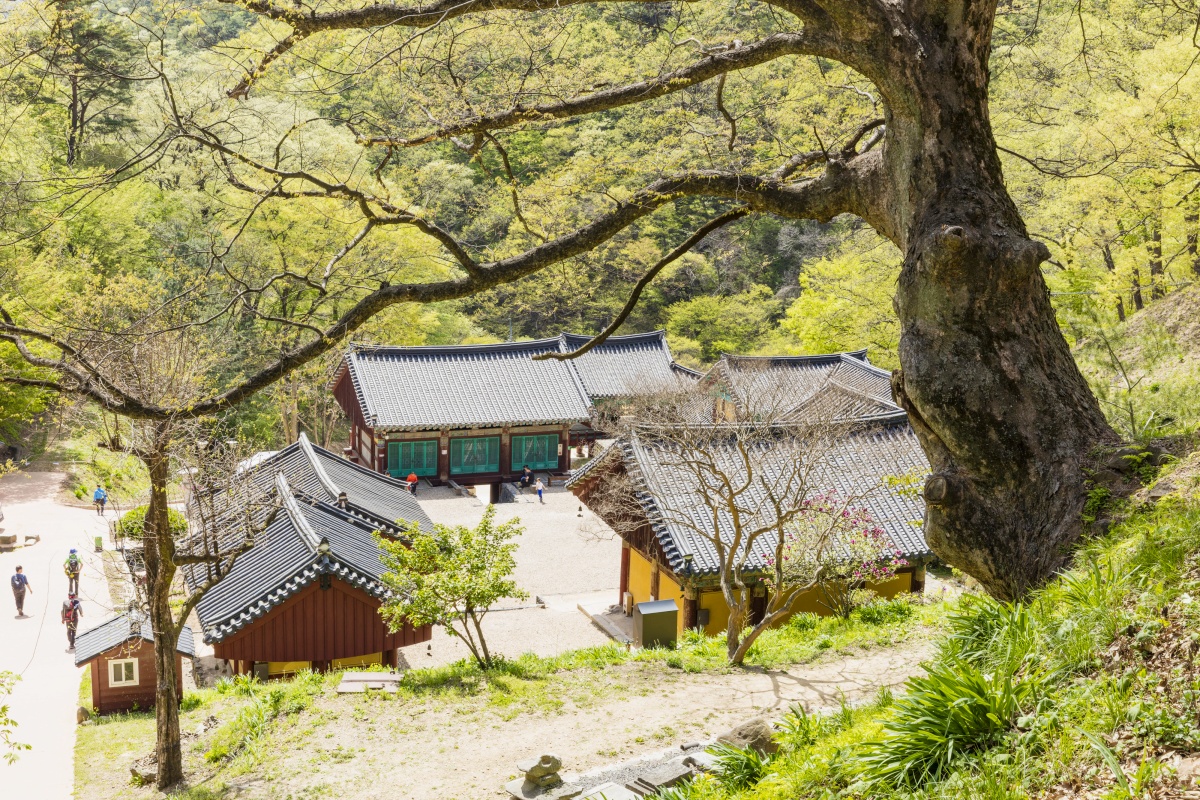 국보