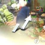 쌈 채소 가격 상승