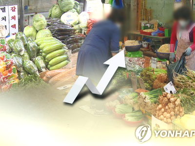 쌈 채소 가격 상승
