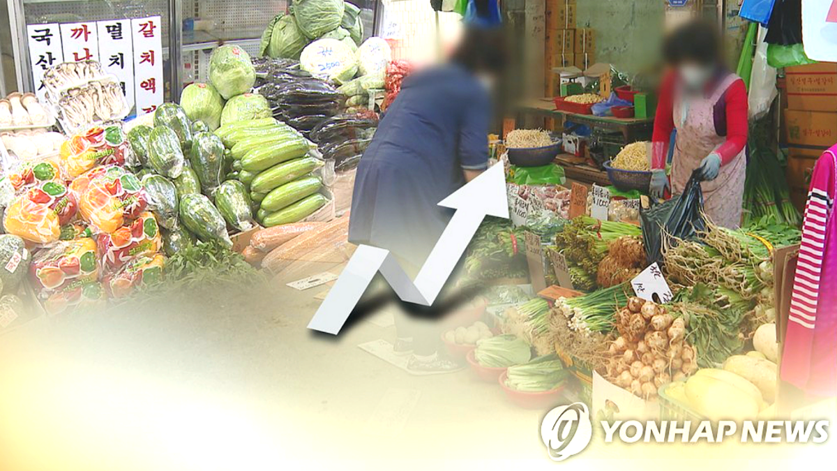 '상추 가격 폭탄'에 쌈 채소 사라진 식탁…산지는 폭락, 소비자는 폭등 1 쌈 채소 가격 상승