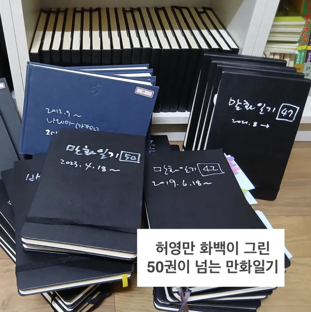 부상으로 누운 식객... 모두를 안도하게 한 현재 근황 2 식객