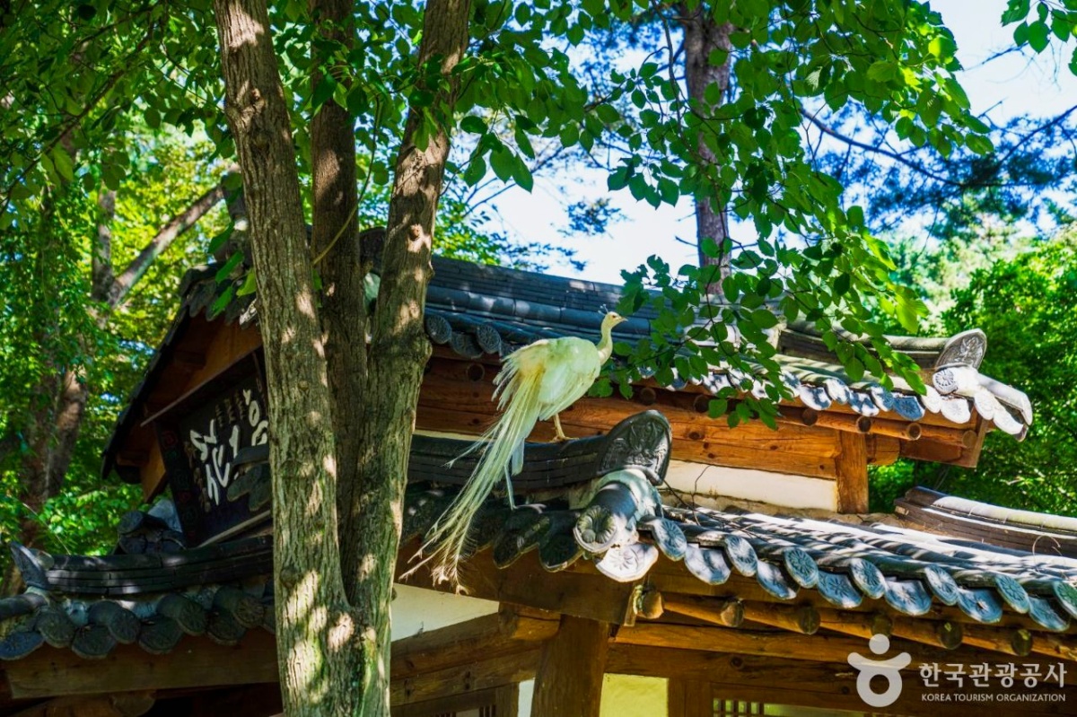 "인생사진 명소 끝판왕"… 숲속 열차 타고 즐기는 서울 근교 힐링 코스 4 서울 근교
