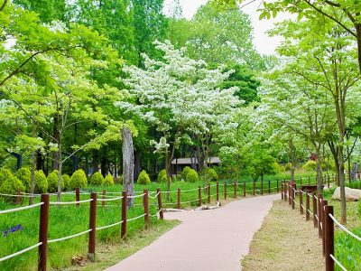 인천대공원