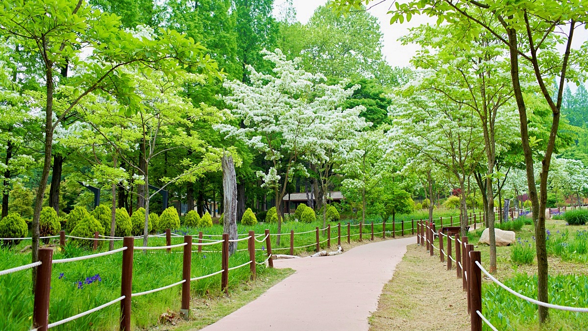 인천대공원