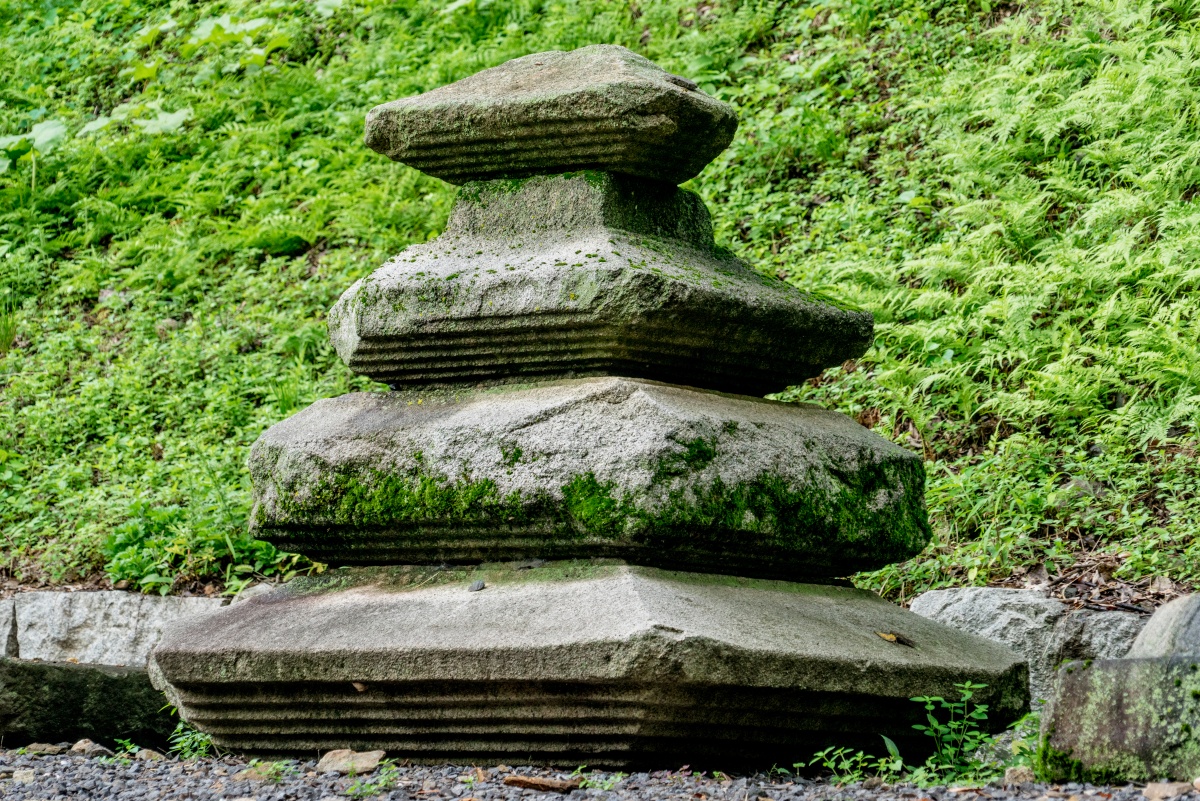 충남