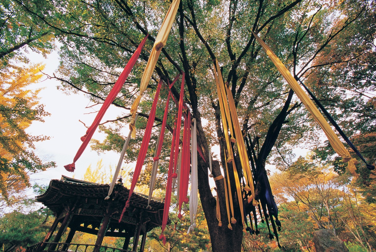 서울 근교