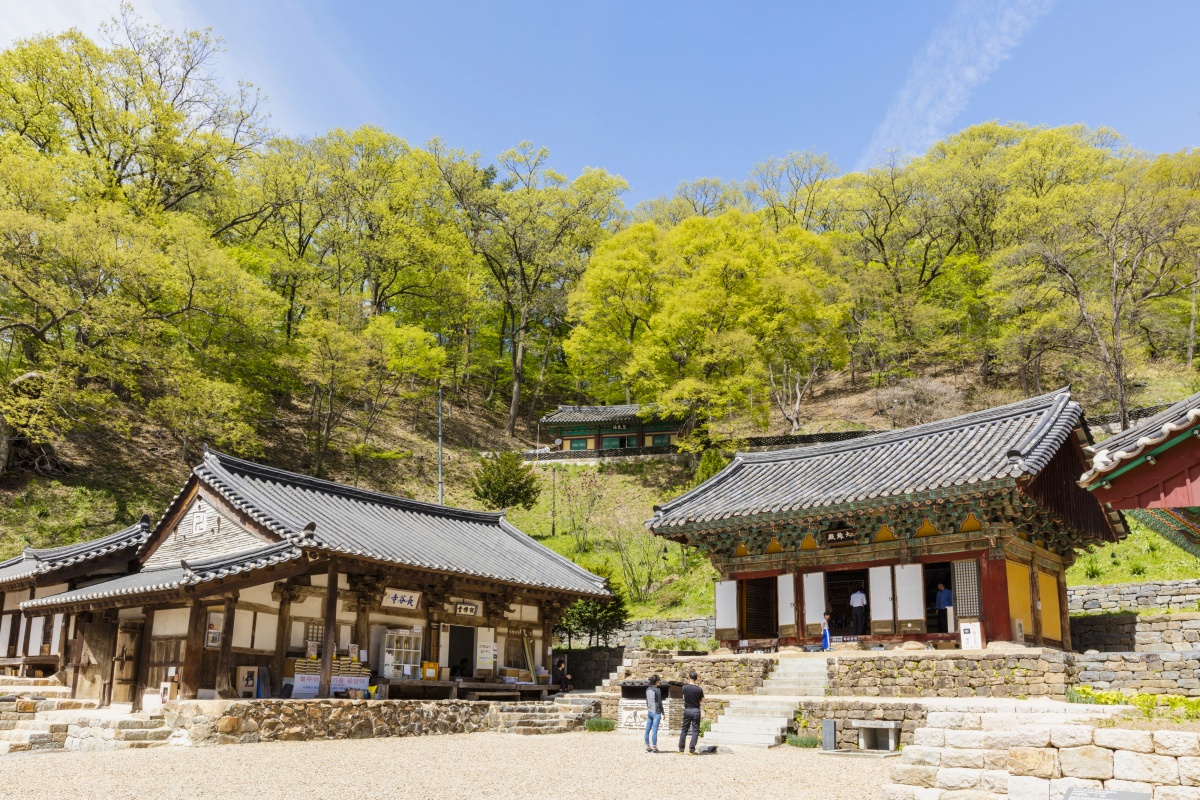 충남